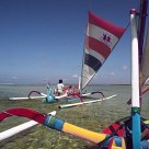 Race to the coral reef